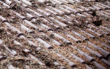 Sutton Abinger roof cleaning companies