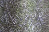 Sutton Abinger fibreglass roof work